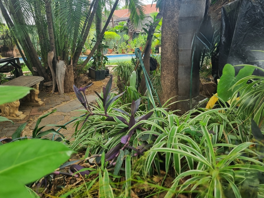 Commercial Property for Sale in Bodorp North West